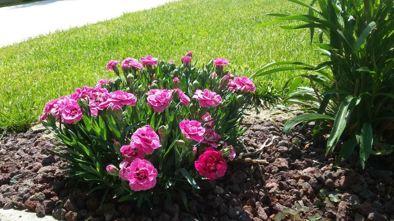 Residenza Leon Bed & Breakfast Castelnuovo del Garda Luaran gambar
